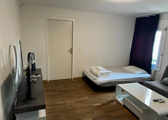 Apartment Center Close To Hb Zürich