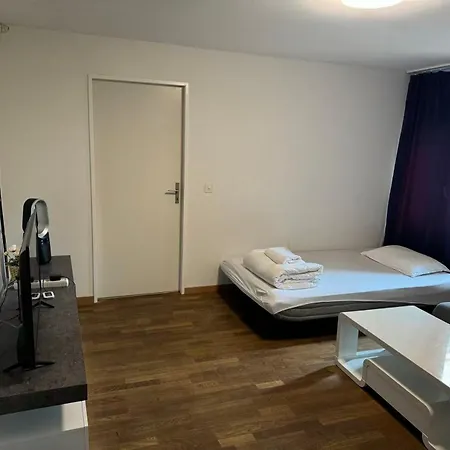 Appartement Budget En-suite Center Self Check In, Next To Hb Pocketwifi Zürich